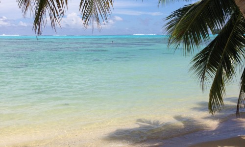 Pension Moorea Beach Lodge